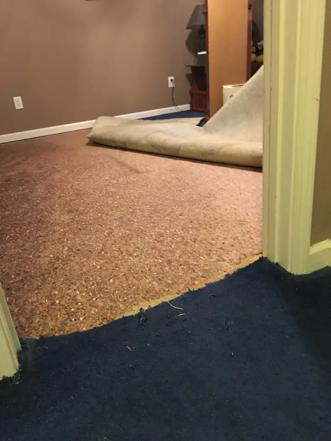 Carpet pad removal revealing water damage during Water Mitigation Services in Baltimore Highlands