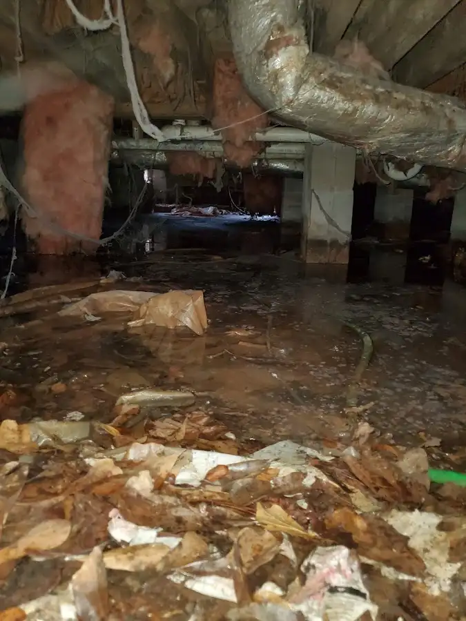 Crawl space flood assessment for Commercial Water Damage Restoration in Baltimore Highlands